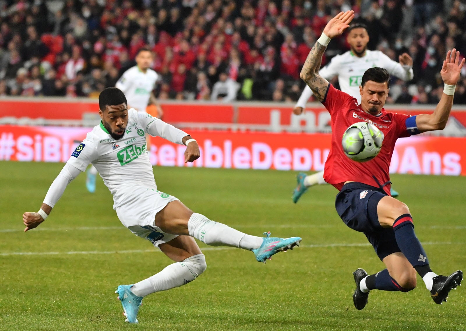 En images. Lille-ASSE : des Verts solidaires ramènent un point du Nord